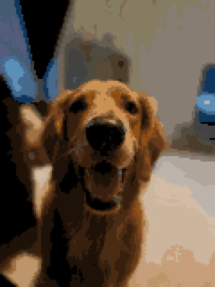 The golden retriever photo as a diamond painting