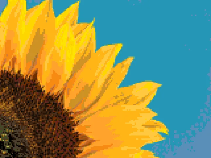 The sunflower photo as a diamond painting